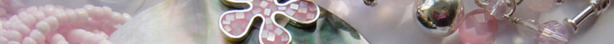 Silverdaze business franchise opportunity